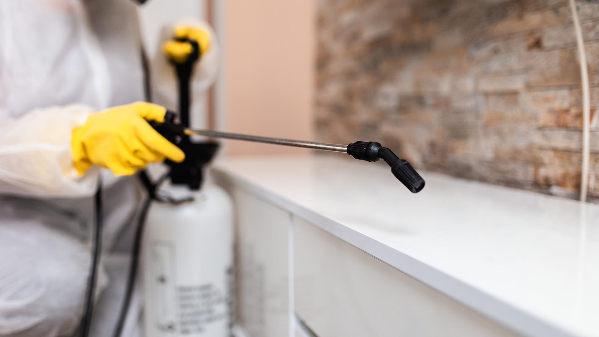 Ben’s Pest Control: Premier Pest Control Solutions for Port St. Lucie, Vero Beach, and Stuart, FL